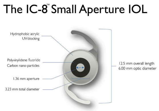 IC8 Image for Website 2